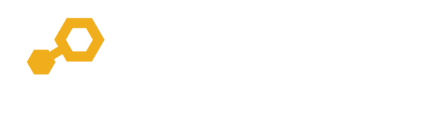 Logo BIGNET White